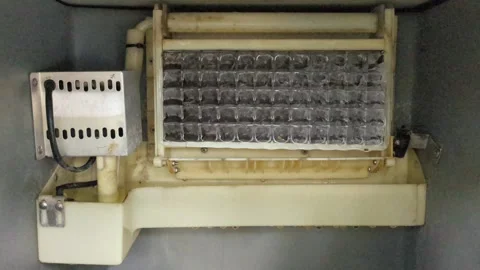 Ice cube forming process from water inside ice maker machine Stock Footage 276691363