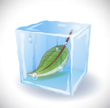 Ice cube with leaf Illustrazione stock