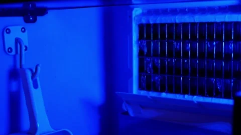 Ice cube maker machine for home cafe bar kitchen. Stock Footage 305673124