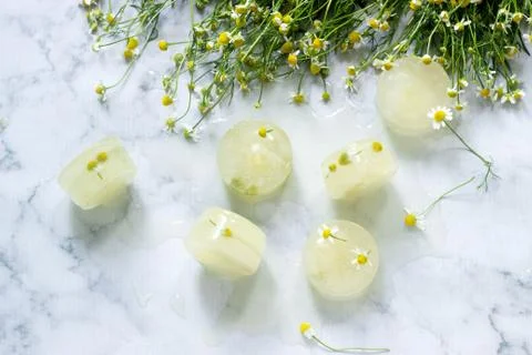 Ice cubes of chamomile tea and chamomile for cosmetic purposes on a backgroun Stock Photos