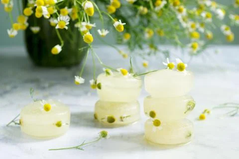 Ice cubes of chamomile tea and chamomile for cosmetic purposes on a background Stock Photos