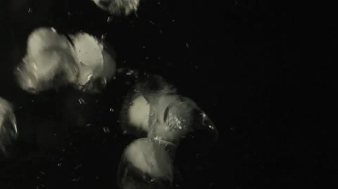 Ice cubes falling in water Stock Footage 24896804