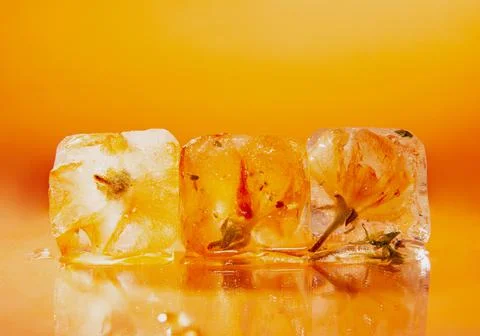 Ice cubes with flower bud on table Stock Photos