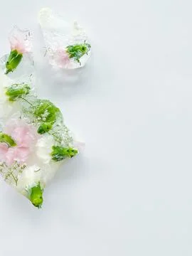 Ice cubes with flowers inside on white background Stock Photos