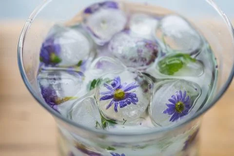 Ice cubes with flowers Stock Photos
