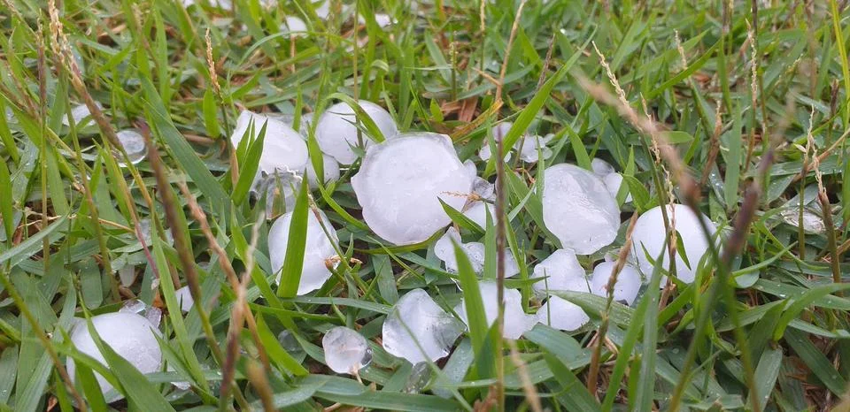 Ice cubes on the grass Fotos de archivo
