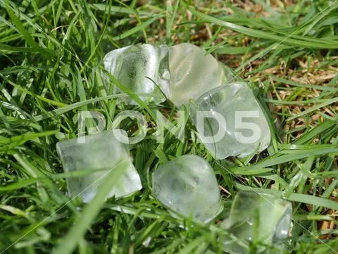 Ice Cubes melting on grass Stock Photos