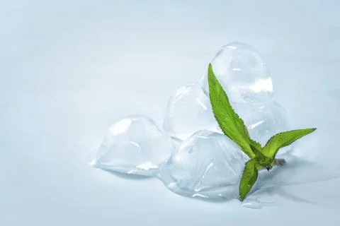 Ice cubes with mint leaves Stock Photos