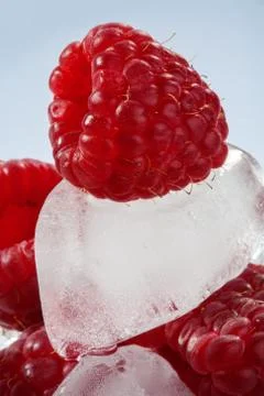 Ice cubes with raspberries Stock Photos