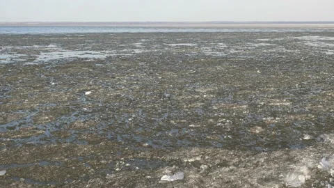 Ice drift on the big lake. Melting ice slush. Lake Nero, Rostov, Russia Stock-Footage 168977253