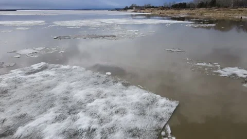 Ice Drift Occurs on the River next to a Island cover Forest, Aerial view above Stock Footage 194334793