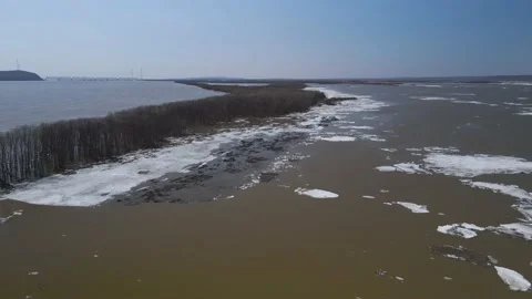 Ice Drift Occurs on River next to the Island with Forest, Aerial view Stock Footage 194344925