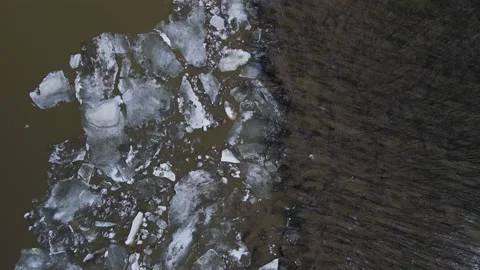 Ice Drift Occurs on River next to the Island with Forest , Aerial view, down Stock Footage 194345016