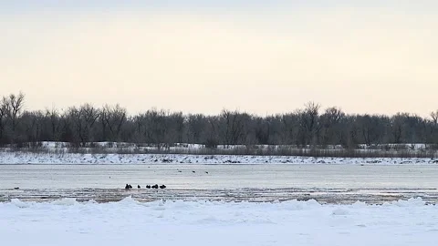 Ice drift on river Stock Footage 320996986