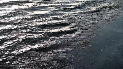 Ice drift on river Stock Footage 321242001