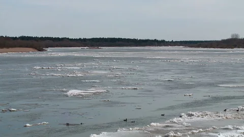 Ice drift on a Sunny day in spring on the river Stock-Footage 88676174