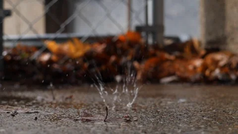 Ice Drips 스톡 동영상 86564001