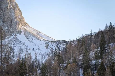 Ice dusted moutain cliffs rise above the tree line up and into the sun Stock Photos