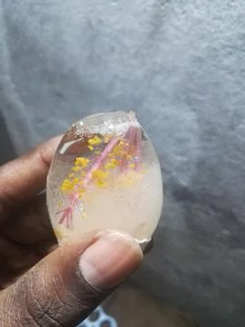 The ice Egg Stock Photos