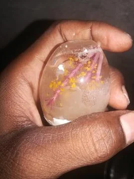 The ice with egg size Stock Photos