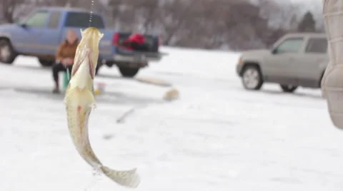 Ice Fishing Catch and Release Stock Footage
