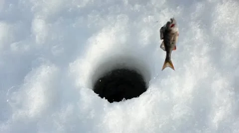 Ice Fishing Stock Footage 10864416