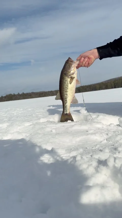 Ice Fishing Video stock 329948028