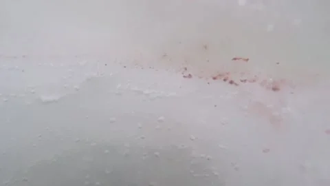 Ice fishing. Pull out the fish Stock Footage 147245974