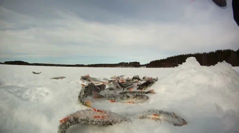 Ice fishing time-lapse Stock Footage 34641808
