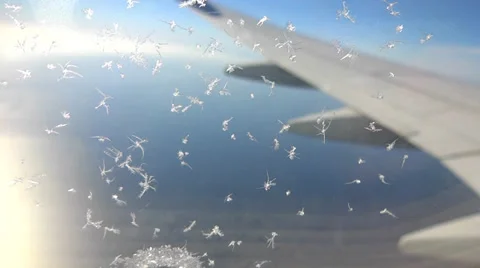 Ice flex on airplane window Vídeos de archivo 35564172