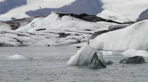 Ice floating by in Jökulsarlon Video stock 7684288