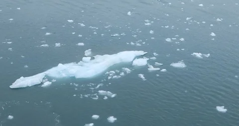 Ice Floating on the Ocean. Stock Footage 91848128
