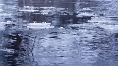 Ice floating on river Stock Footage 122221404