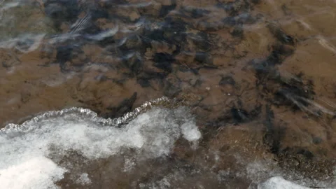 Ice Floating in River Stock Footage 145155329
