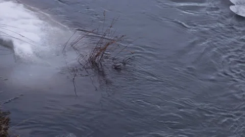Ice floating in river stream Stock Footage 47198562