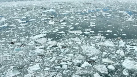 Ice floating on water in a natural setting during daytime Video stock 344742012