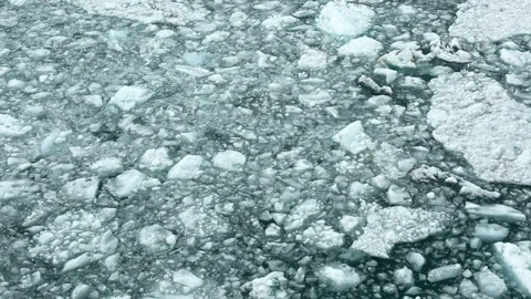 Ice floating on water in a natural setting during daytime Video stock 344742016
