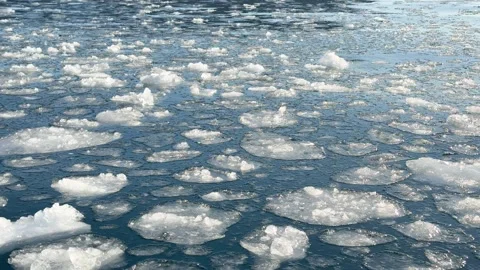 Ice floating on water in a natural setting during daytime Video stock 344742021