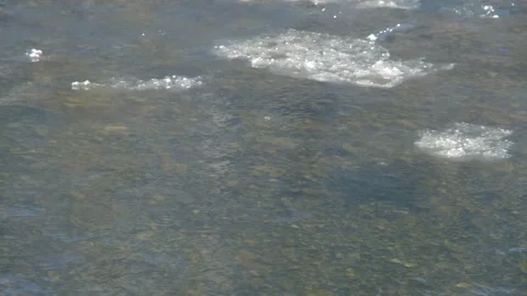 Ice floats down a mountain river. The river begins to freeze, the ice floats Stock Footage 262998788