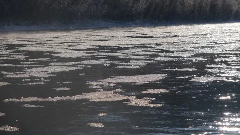 Ice floats down a mountain river. The river begins to freeze, the ice floats Stock Footage 264062094
