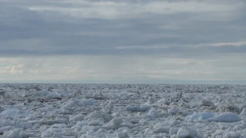 Ice floe drifting on the Arctic Ocean Vidéo 104849507