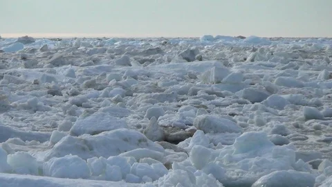 Ice floe drifting on the Arctic Ocean Stock Footage 104849977