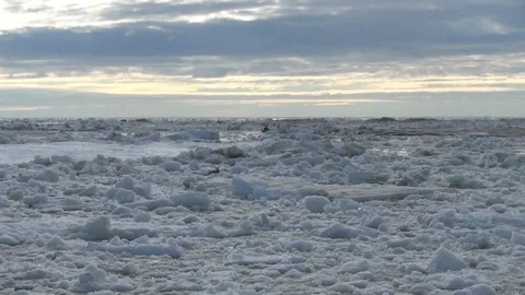 Ice floe drifting on the Arctic Ocean Stock Footage 104851013