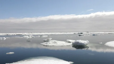 Ice floe drifting on the Arctic Ocean - Time lapse Video stock 104959441