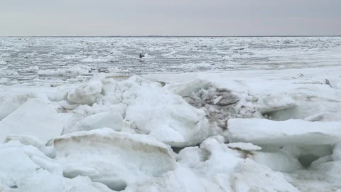 Ice floe drifting slowly on the Arctic Ocean, North Pole Video stock 104923679