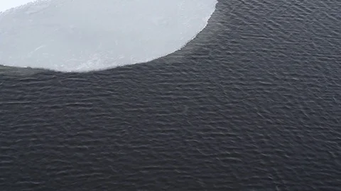 Ice floe Stock Footage 124592232