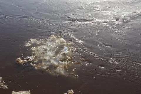 Ice floe in the river. Stock Photos