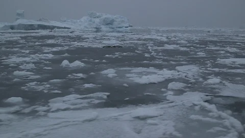 Ice floe under the falling snow in the Arctic Ocean, Greenland Video stock 102511535