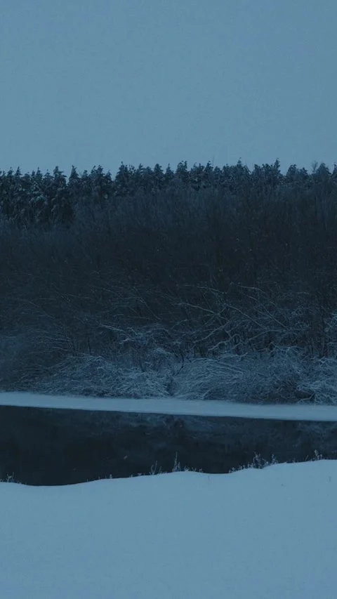 Ice Floes Drifting on Spring River Against Snowy Forest at Dusk Stock Footage 341359919
