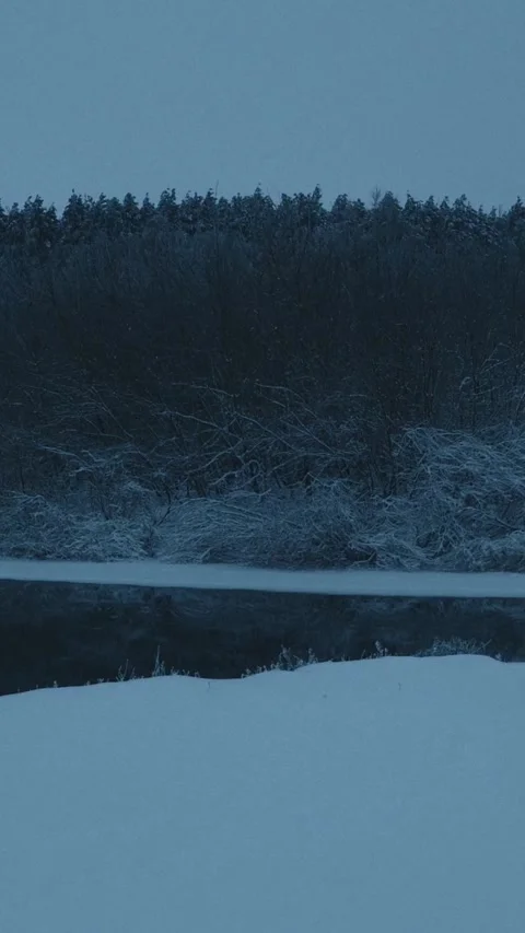 Ice Floes Drifting on Spring River Against Snowy Forest at Dusk Stock Footage 341363829